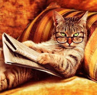 gattolette