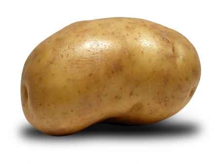 patata (1)