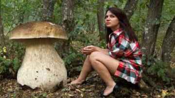 Funghi-7