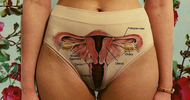 Vagina-Pants-la-lencerÃa-que-no-deja-nada-a-la-imaginación