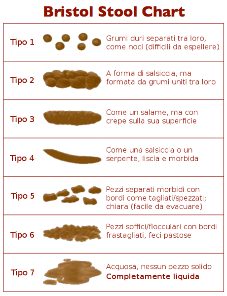 460px-Bristol_Stool_Chart-IT